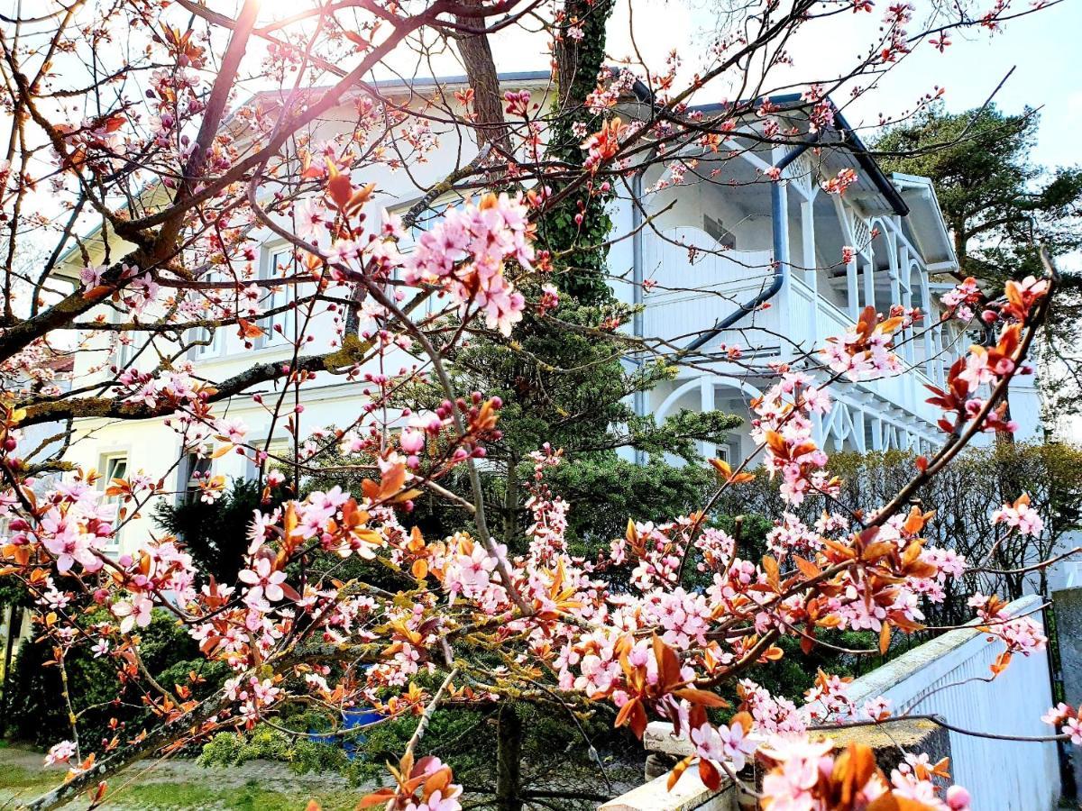 Villa Asta Binz Kültér fotó